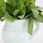 Limetten-Minz-Sirup