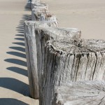 Meer