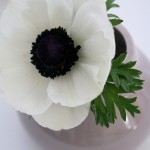 Sanft ins Wochenende