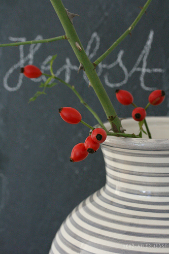 Herbstwohnzimmer und Gewinner