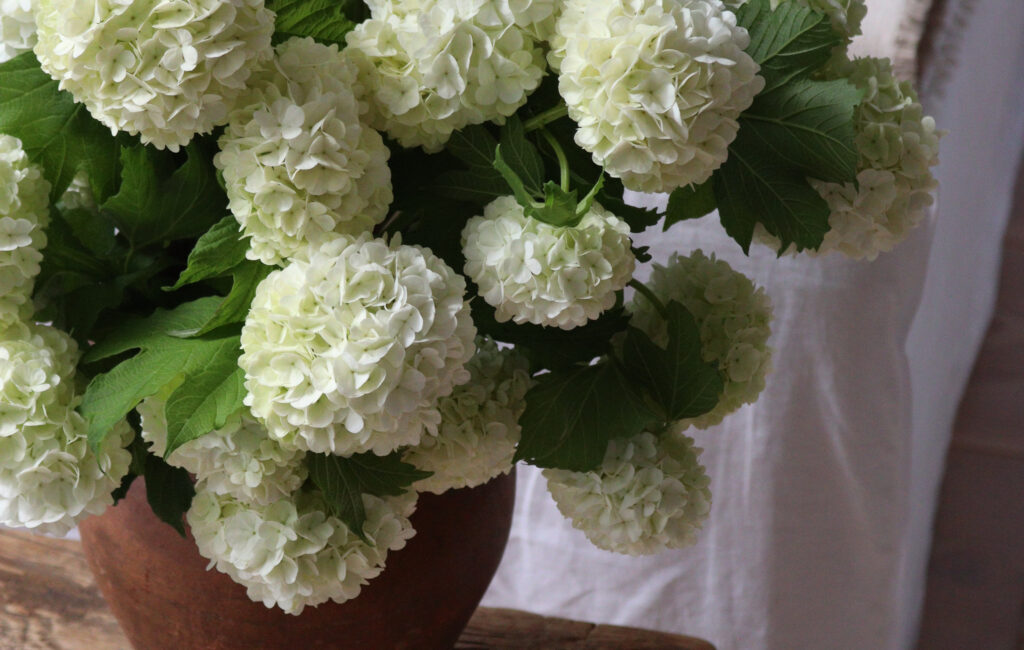 Zwischen Frühling und Sommer